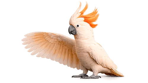 Användning av personuppgifter